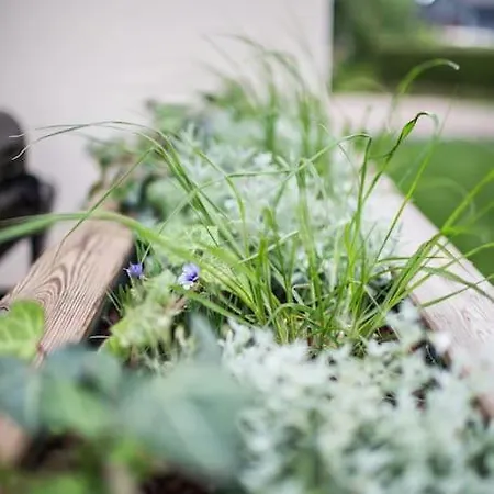 Le Naturospa Privatif Le Quesnoy-en-Artois